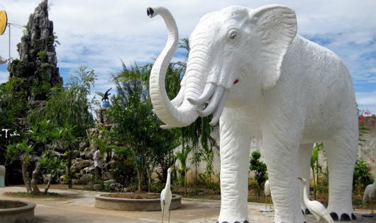 Ý nghĩa của giấc mơ thấy voi là gì? May mắn hay xui xẻo? Có phải điềm báo gì về số phận?