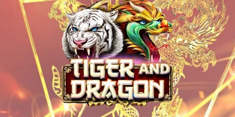 Hướng dẫn chi tiết cách chơi Rồng Hổ đơn giản và luôn giành chiến thắng