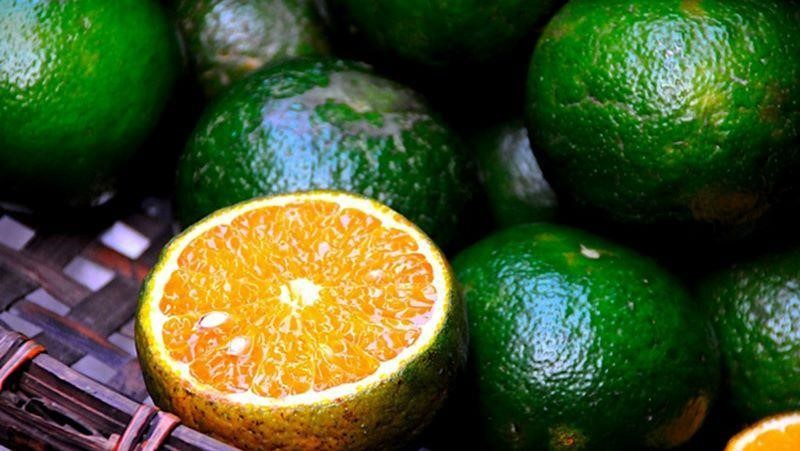 8 loại trái cây tốt nhất giúp chữa lành vết thương mà bạn không nên bỏ qua