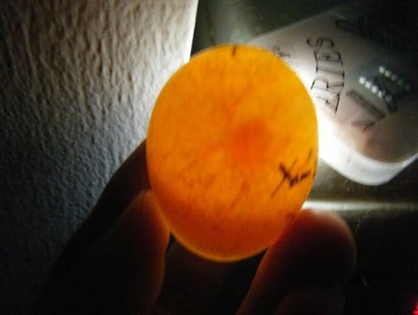 Cách kiểm tra trứng gà và thời điểm thích hợp để kiểm tra trứng