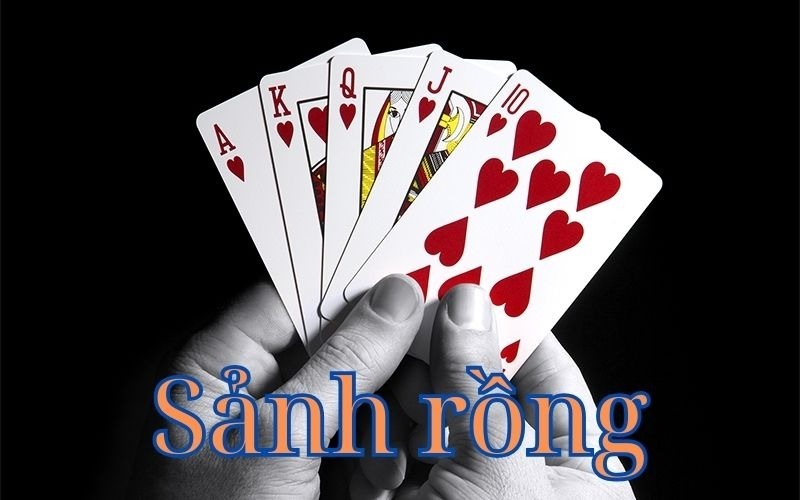 Sảnh Rồng Là Gì? Kinh Nghiệm Chơi Sảnh Rồng Hiệu Quả 2 Sảnh Rồng là gì? Kinh nghiệm chơi Dragon Hall hiệu quả từ chuyên gia