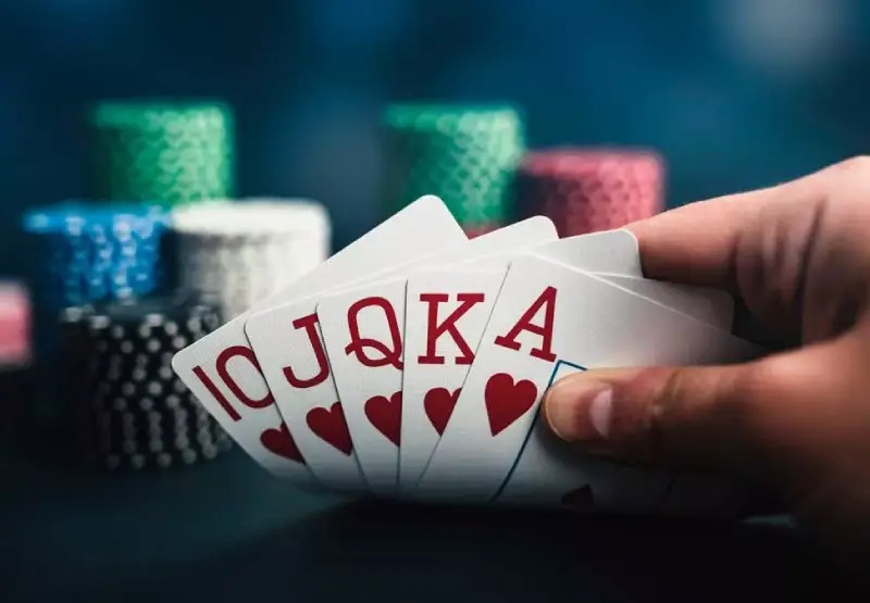 Sảnh Rồng Là Gì? Kinh Nghiệm Chơi Sảnh Rồng Hiệu Quả 3 Sảnh Rồng là gì? Kinh nghiệm chơi Dragon Hall hiệu quả từ chuyên gia