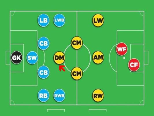 dm la gi trong bong da