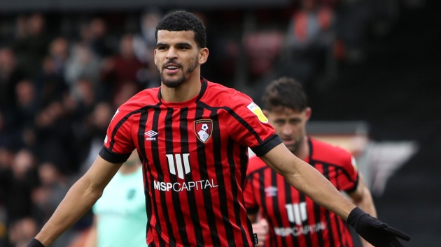 Sự Nghiệp Cầu Thủ Dominic Solanke - Cầu Thủ Bóng Đá Tài Năng Người Anh 1 51 1305