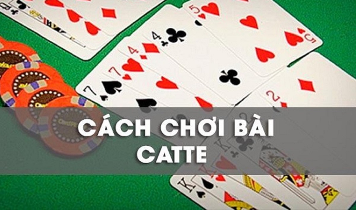 Hướng Dẫn Chơi Bài Catte Chi Tiết Và Dễ Hiểu Cho Người Mới 1 Hướng dẫn chơi Cette tại Sun thắng cho người mới
